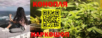 стаф Пугачёв